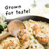 4Sisters 5lb - Enriched Extra Long White Rice - Sustainably Grown - Women Owned