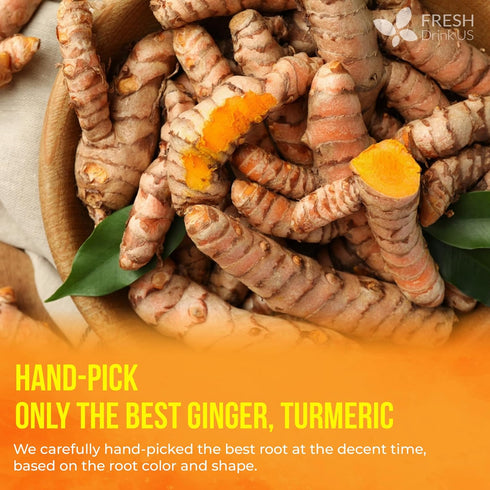 210 100% FreshDrinkUS, Premium Ginger Turmeric Tea Bags, Natural Ingredients, Hand-made Blend of Ginger and Turmeric