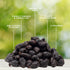 (5 lbs) Traina Home Grown California Dried Whole Black Mission Figs - Healthy, No Added Sugar, Non GMO, Gluten Free