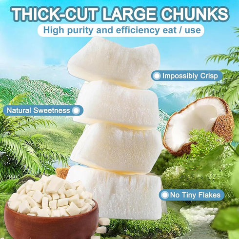 Generic (7oz) Coconut Chunks Freeze Dried & Unsweetened for Cooking/Baking Pure Coconut Strips Tropical Fruit Dry