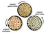 3 Pack (5 LB), (5 LB), (5 LB), Food to Live Organic Pulses Bundle, Whole Green Peas Green Lentils Chickpeas Non-GMO