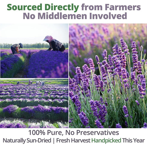 100% 3.53oz (100g), Dried Culinary Lavender Natural Food Grade Lavender Buds Herbs Tea, Edible Lavenders Flowers