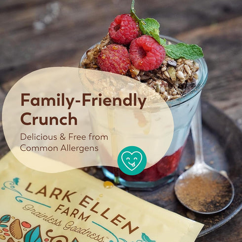 8 oz 3 Pack Lark Ellen Farm Vanilla Cinnamon Granola Clusters, Gluten Free, Vegan, Certified Organic, Low Sugar Healthy