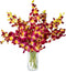 Generic Fresh Cut Orchids Flowers Bouquet - PRIME QUALITY - Perfect for Weddings,