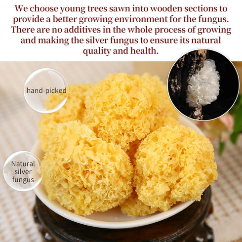 3.5oz(100g) Wanhua Hall Dried Snow Fungus Whole Tremella Mushroom Chinese White Fungus Premium White Woodear Mushroom
