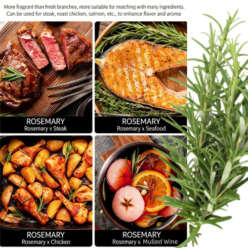 LWWTYKSPL 3.53oz 100g Premium Rosemary Sprigs, | All-Natural, Non-GMO for Cooking, Baking, Tea & Beverages | Culinary