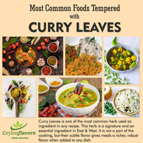 100% (0.7oz) 20g Ceylon Flavors Fresh and Pure Natural Curry Leaves