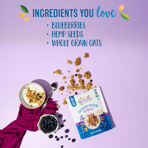 10g 10 Oz Oatsome Blueberry Protein Granola, Protein, Gluten Free, Made with Whole Grain Organic Oats, Real