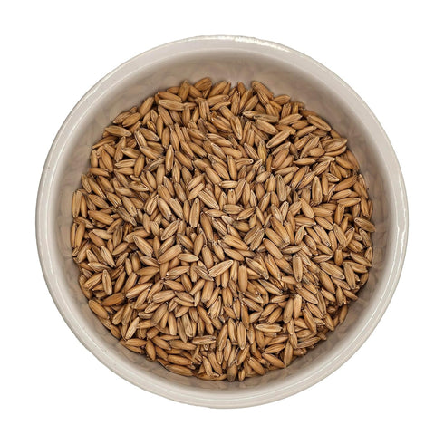5lb Home Brew Ohio Malted Oats Grain