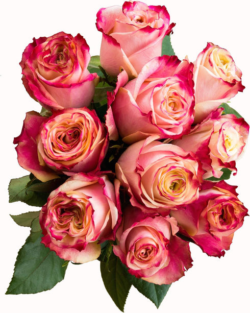 Flower Explosion 12 Stems - Fresh Cut Sweetness Pink and White Rose Bouquet from