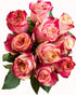Flower Explosion 12 Stems - Fresh Cut Sweetness Pink and White Rose Bouquet from