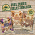 Pack, 12 Aycana Fuel Cubes Selection Box Granola Bites Cocoa & Nuts, Dulce de Leche, Cinnamon & Raisins Gluten-Free