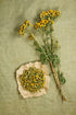 (100g) Health Embassy Tansy Herb | Tanacetum Vulgare L | Herbal Tea
