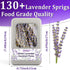130+ 6.69" 1.76 oz (50g) Edible Lavender Sprigs for Cocktails & Cake Garnish, Culinary Grade Lavender Sticks for Tea