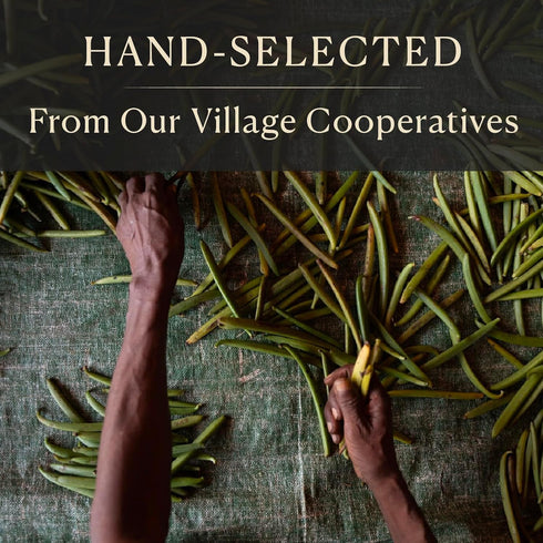 10 Cooks, Tahitian Organic Vanilla Beans, Grade A, Worlds Finest Gourmet Fresh Premium Vanilla, Certified Organic by