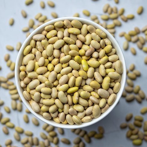 10 High Plains Mayocoba Beans | Pound Bag | Farm-fresh Peruvian | Non-GMO Verified | High Protein & Fiber Source | Dry