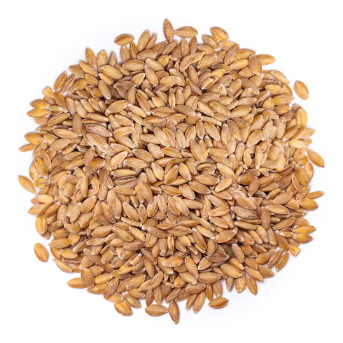 3 Food to Live Organic Einkorn Wheat Berries, Pounds Non-GMO, Good Source of Protein, Fiber, and Vitamins, Low-glycemic