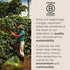 100% 8.8 (Pack 1) illy Decaf Whole Bean Coffee, Classic Medium Roast Gourmet Blend, Arabica Coffee, Ounce