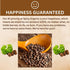 16 oz. SPICY ORGANIC Pure Organic Allspice Berries Whole Certified USDA Organic - Premium Pimento Seeds and Peppers