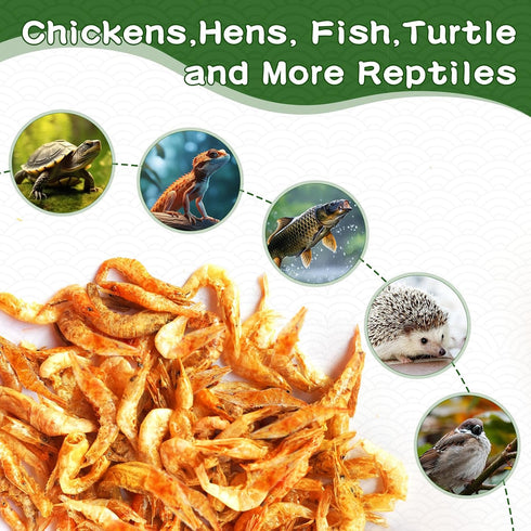 1lb Dried River Shrimp for Chicken, High Protein Freeze Red Dried Shrimp All Natural Treat for Turtles, Reptiles, Fish