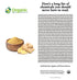 Organic Ginger Powder | 8 oz (226g) | USDA Organic, Non-GMO Verified | 100% Raw and Natural | Resealable Kraft Bag
