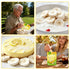 5 Pack (5) Banana Chips Crispy & Sweet Dried Banana Slices, No Sugar Added,Dried Banana Chips Healthy Snack for Adults