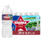 Ozarka Texas Spring Water Bottles - Still Bottled Water Enhanced with Naturally