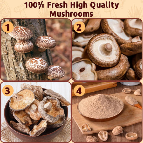 Egcina 8.5oz 100% Dried Shiitake Mushroom Powder - Pure Natural Shiitake Mushroom Seasoning for Cooking, Ramen, Coffee