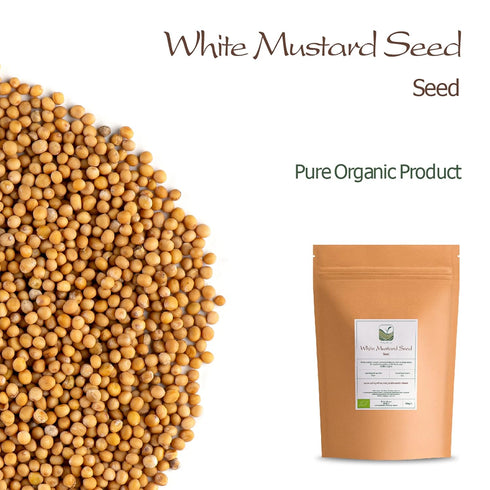 Yellow Mustard Seeds Whole - White Mustard Seed Spicy Ingriedient - Whole Mustard Seeds Yellow Whole Mustard Seed
