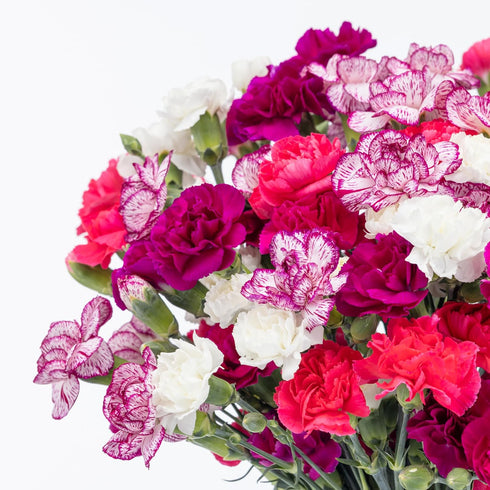(20 Benchmark Bouquets Mini Carnation Bouquet Mothers Day Flowers for Delivery Pink White Purple Mini Flowers Fresh