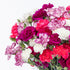 (20 Benchmark Bouquets Mini Carnation Bouquet Mothers Day Flowers for Delivery Pink White Purple Mini Flowers Fresh