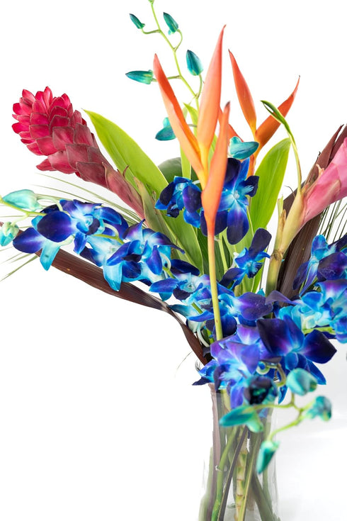 Generic Fresh Orchids and Tropical Flower Bouquet, Perfect for Birthdays, Easter, Mother's Day, Anniversaries, Gifts