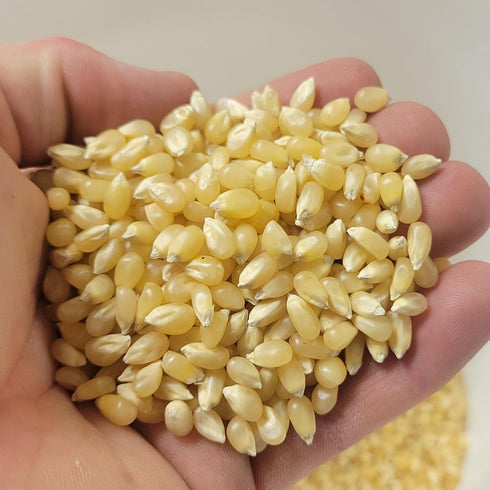 2lb Farmer Direct Baby White Popcorn Kernels - Tender Hulless Bag - Freshness for Oil, Microwave, or Air Popper - Easy