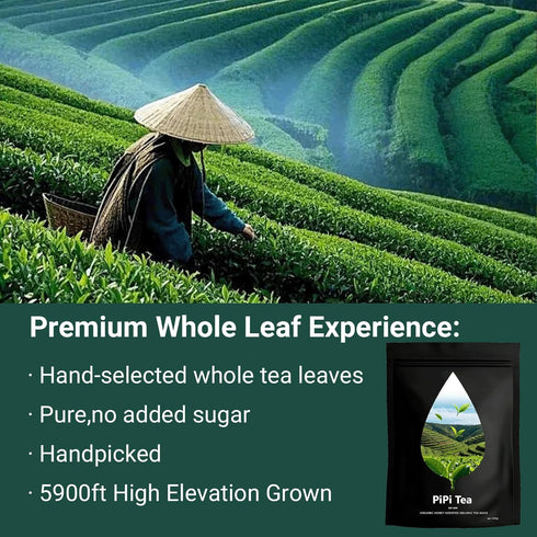 PIPI TEA 4g*25 (1) Oolong,Pipi Oolong Tea, Extra Value Bags Selected Tea Leaves, Cortisol & Calming Tea for Stress