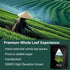 PIPI TEA 4g*25 (1) Oolong,Pipi Oolong Tea, Extra Value Bags Selected Tea Leaves, Cortisol & Calming Tea for Stress