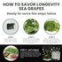 VeganZen 100GR Sea Grapes to Eat Seaweed Snacks Salad Kit Umibudo dried ramen toppings korean food green caviar