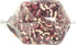 Zursun 24 OZ Beans Anasazi