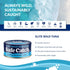 Whole30 5oz 12-Pack Safe Catch Canned Wild Tuna Fish, Wild Caught, Lowest Mercury, Gluten-Free, Kosher, Non-GMO