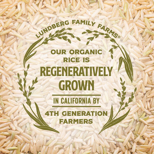 32 Oz Lundberg Organic Jasmine Rice, Long Grain Brown Rice - Non-Sticky, Fluffy Aromatic Rice, Organically Grown