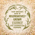 32 Oz Lundberg Organic Jasmine Rice, Long Grain Brown Rice - Non-Sticky, Fluffy Aromatic Rice, Organically Grown