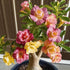 QYTGVSZ Mixed Desert Roses Succulents with Vibrant Trumpet Blooms Drought-Tolerant Caudex Ideal for