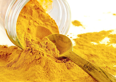 2 100% Food to Live Organic Pumpkin Fruit Powder, Pounds Non-GMO, Milled Dried Pumpkin, Pure, No Additives, Vegan