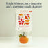 15 Count (Pack 1) Rishi Tea Tangerine Hibiscus Herbal Tea - Organic, Caffeine Free Sachet Bags, Hibiscus Botanical