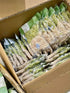 Generic 500g Mut Dua Non Homemade Young Coconut Candy Strips, Low Sugar, Natural Colors, White and Pandan Green Mix