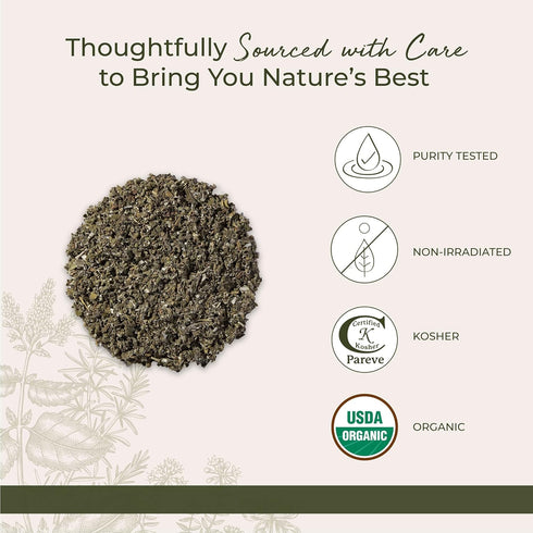1 lb Starwest Botanicals Organic Raspberry Leaf - Herbal Loose Leaf Tea, Caffeine Free Natural Herbs, Pure Dried
