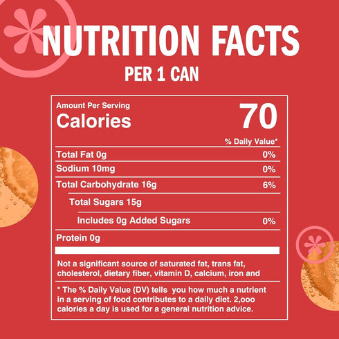 8.4 OZ, 24 IZZE Sparkling Water Juice Beverage Blend, Grapefruit, No Sugar Added, FL Cans