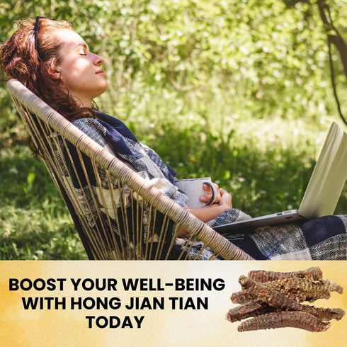 1 Golden Root | Hong Jing Tian | Rhodiola Rosea Herb (Whole Root) Herb Tea, Pound - Plum Dragon Herbs