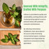 50 Count Hiihone Peppermint Tea Bags Pure Peppermint Mint Tea, Caffeine-Free Herbal Tea, Minty & Refreshing, Non-GMO