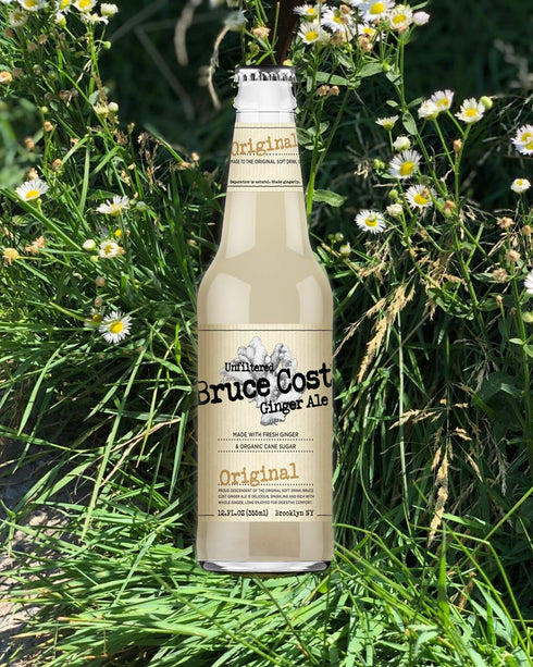 Bruce Cost Ginger Ale 12 oz (12 Bruce Cost - Unfiltered Ginger Ale - Original - Glass Bottles)
