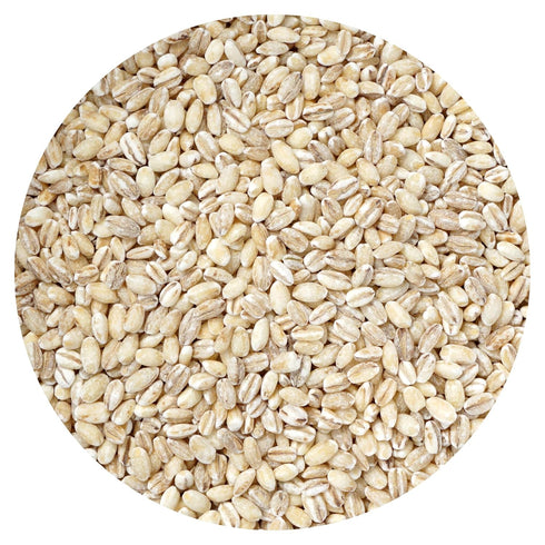 Barley Pearl, 4 Pound Bulk Bag, Perfect for Hot Cereals, Salads or